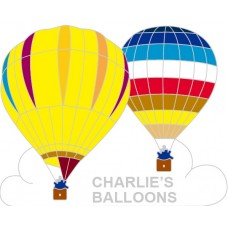 Charlie's Balloons Double Silver